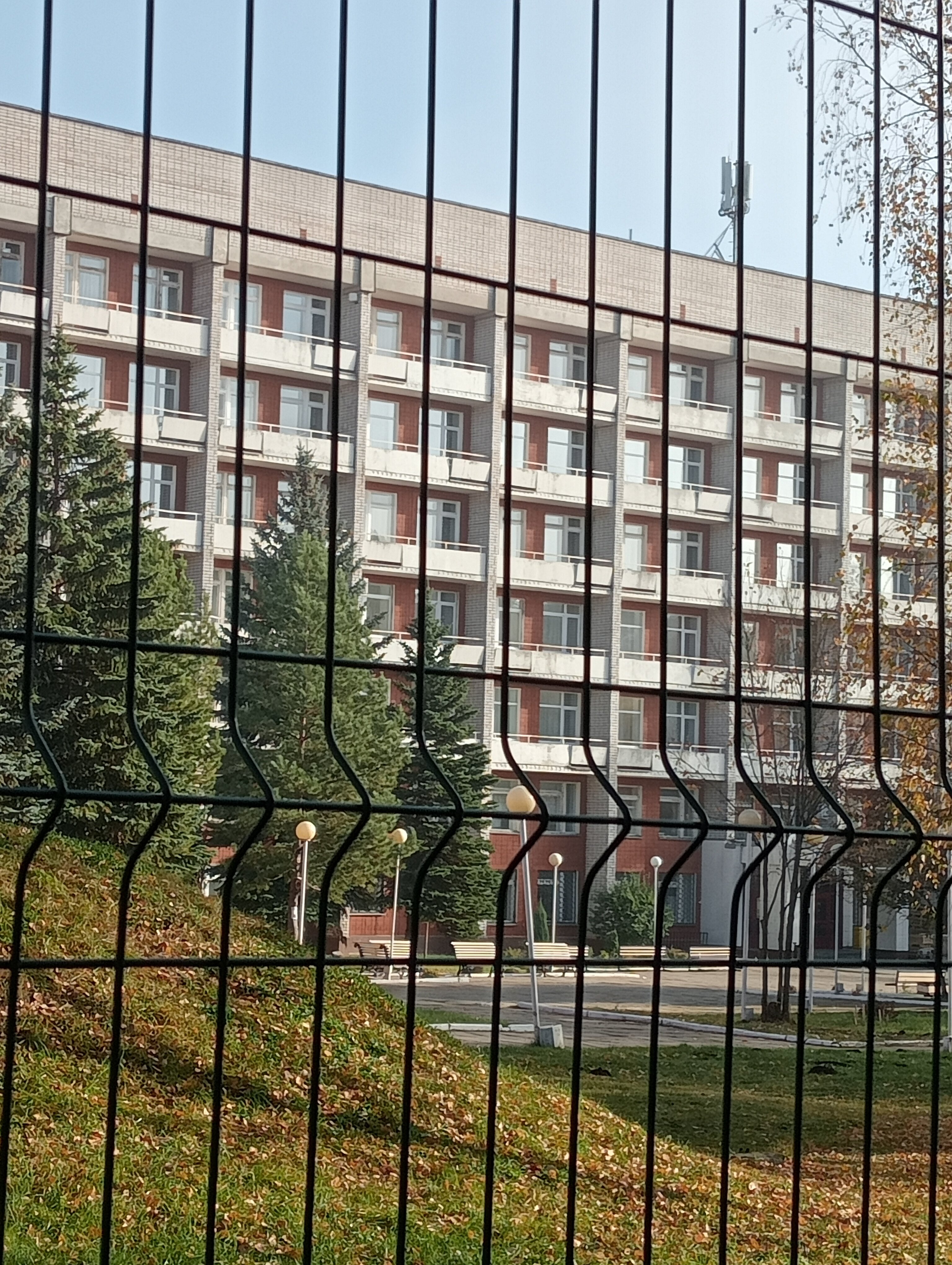 Фото Сосновый