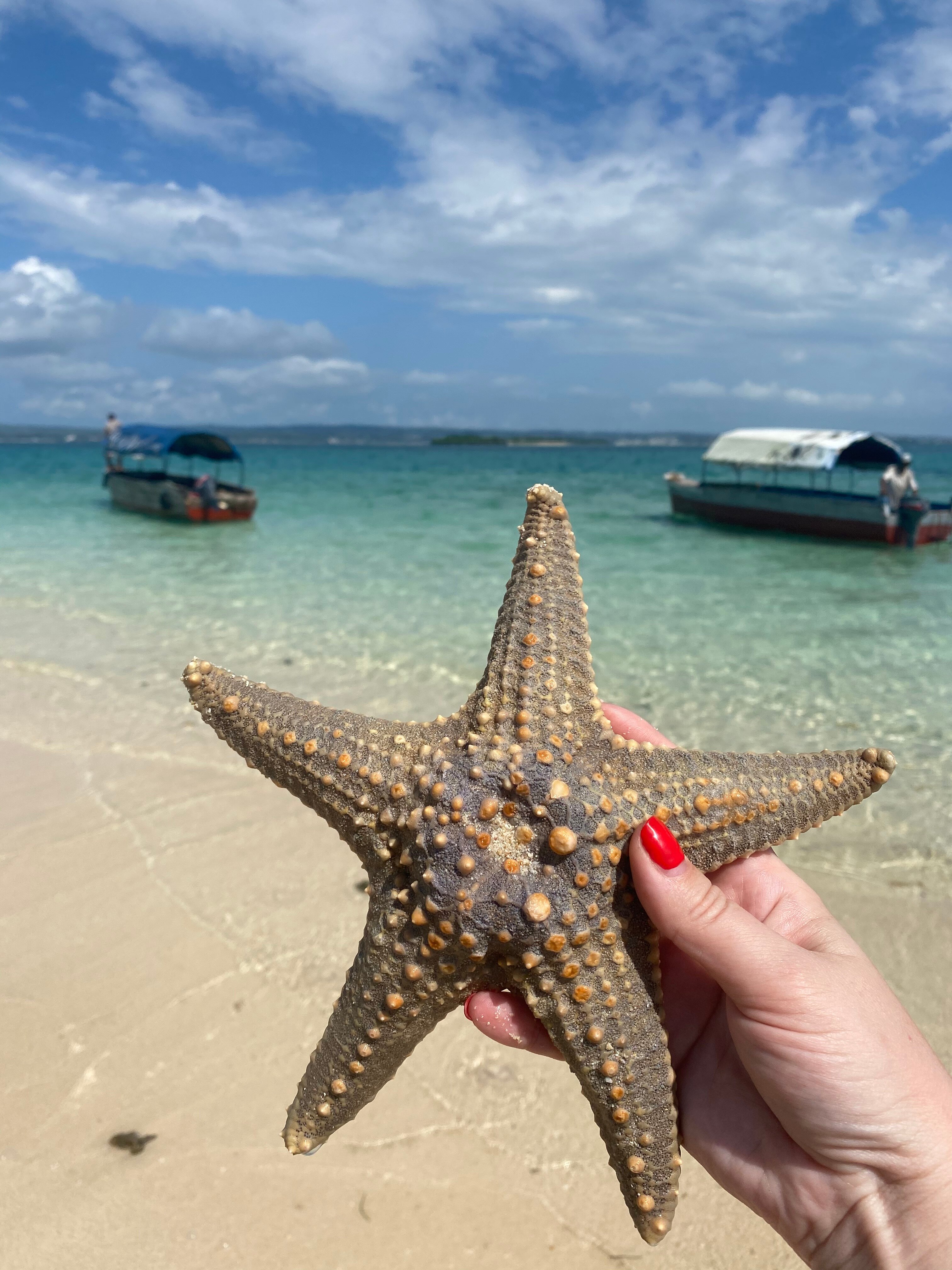 Фото Kiwengwa Beach Resort