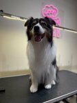 Woof! Grooming (Kozhevennaya Line, 34), pet salon