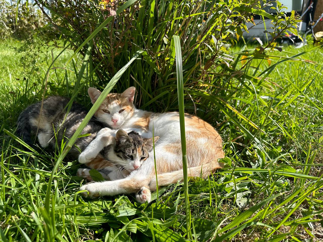 Фото Краски природы