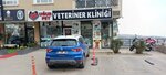 Ugur Pet Veterinary Clinic (Ankara Province, Cankaya District, Dikmen Cad., 566B), veterinary clinic