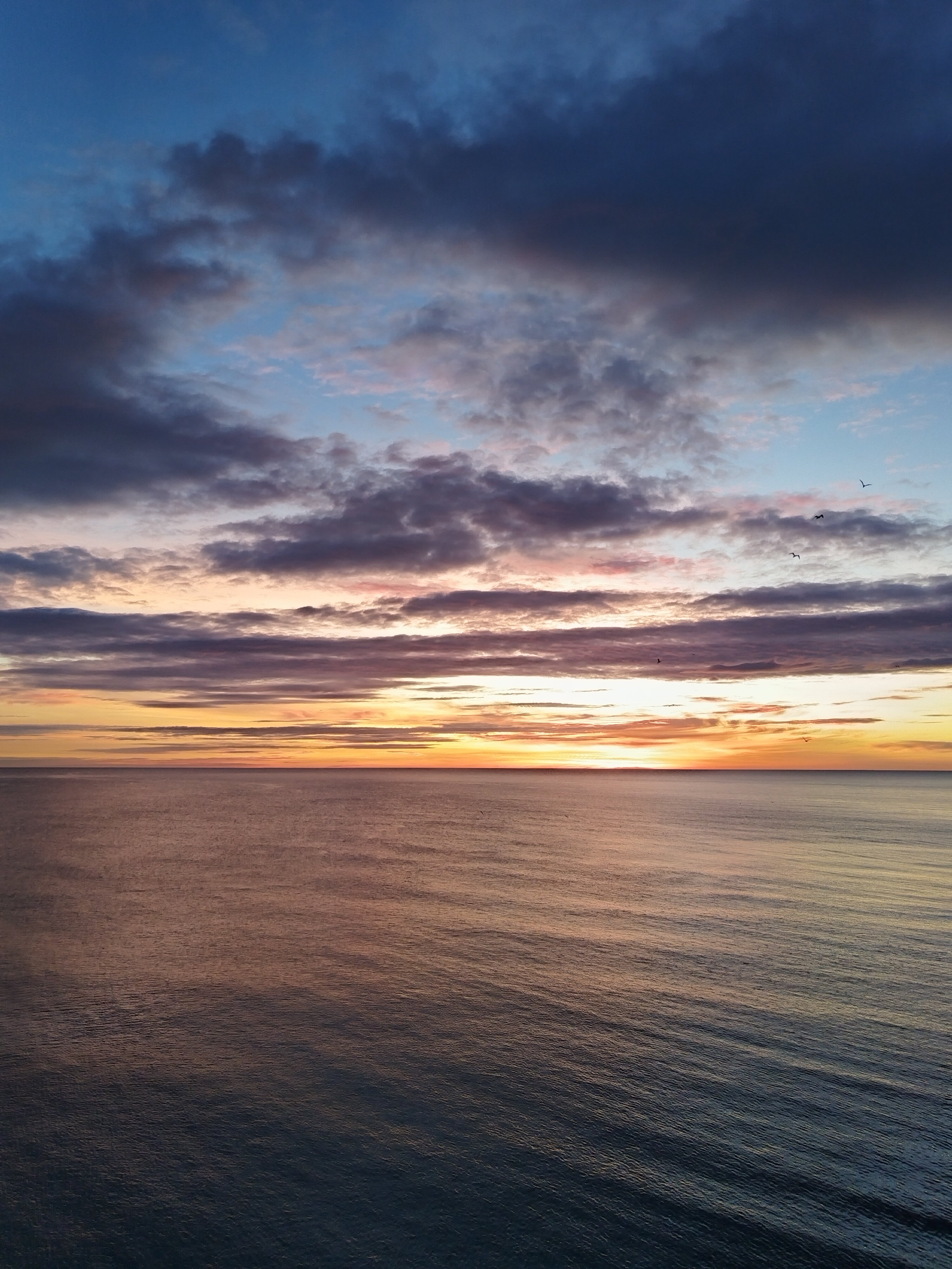 Фото Melia Alicante