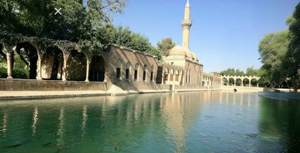 Travel agency Sanliurfa Cesur, Sanliurfa, photo