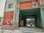 Flora-dizayn (ulitsa Marshala Koneva, 20/29), flower shop