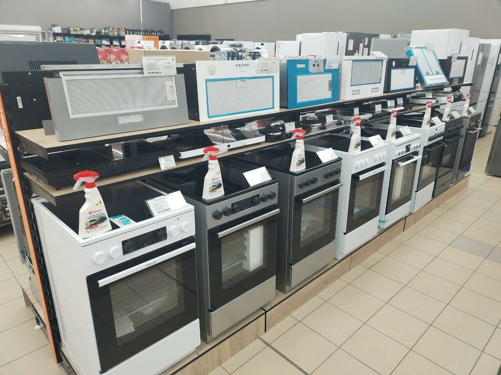 Electronics store DNS, Zarinsk, photo