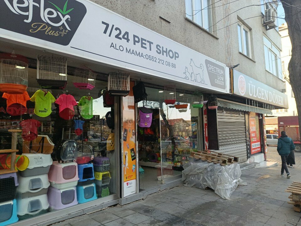 Pet shop 7/24 Petshop, Istanbul, photo