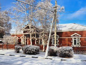 Нижнедевицкий краеведческий музей (Nizhnedevitsk Village, Bratskaya ulitsa, 16), museum