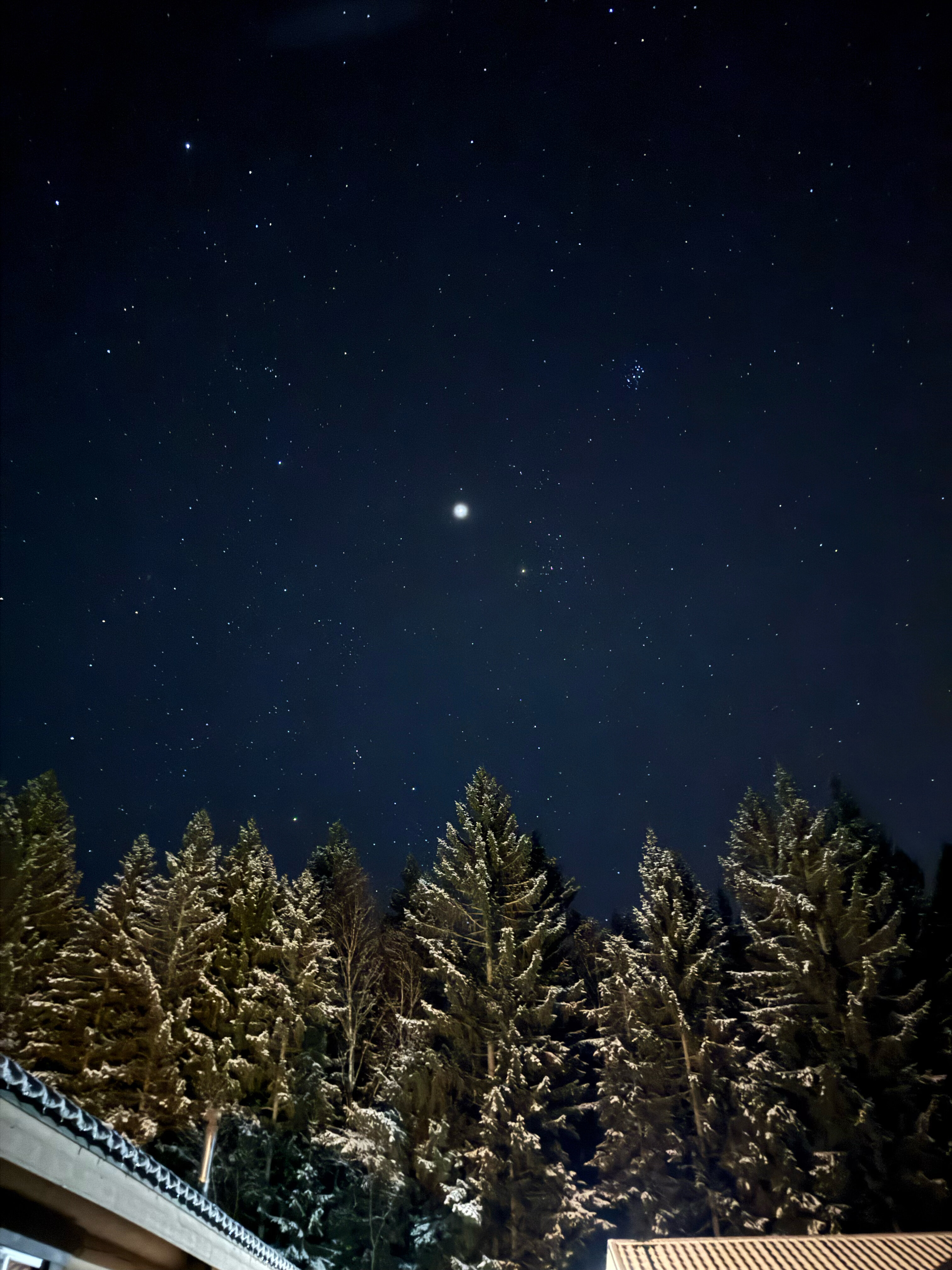 Фото Лесной скит