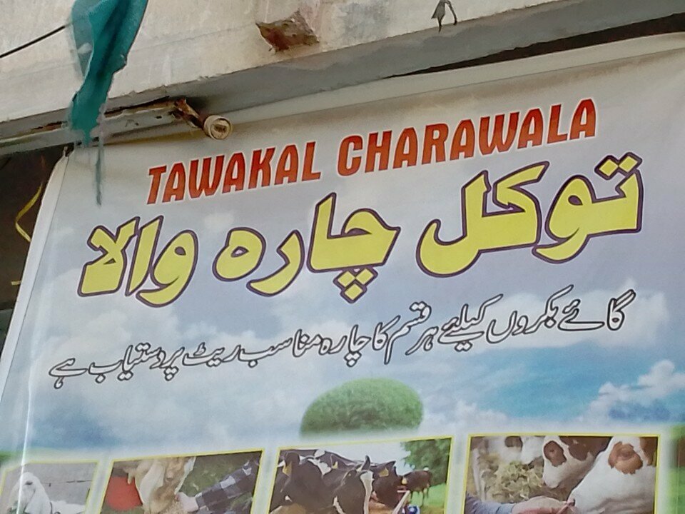 Fodder and feed additives Tawakal, Karachi, photo