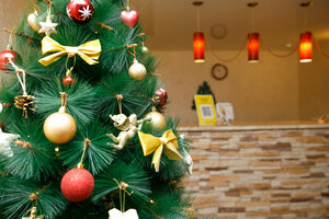 Иное жильё Солнечный