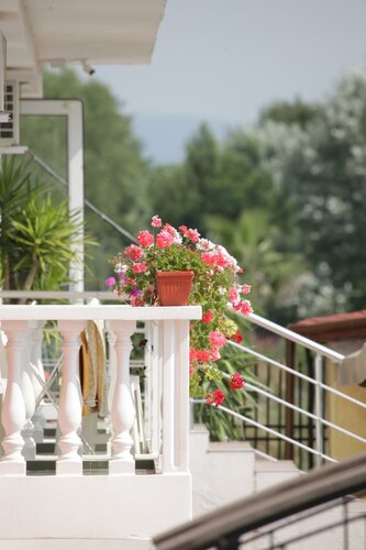 Гостиница Hotel Zaara в Солнечном Береге