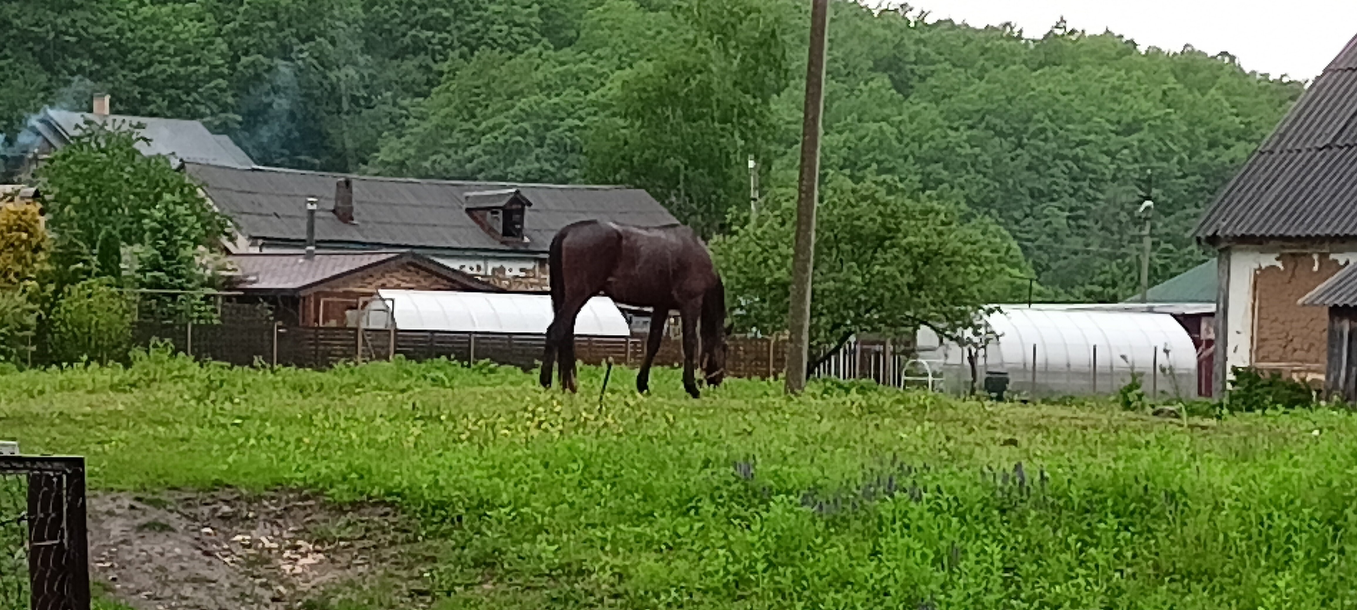 Фото Куршевель