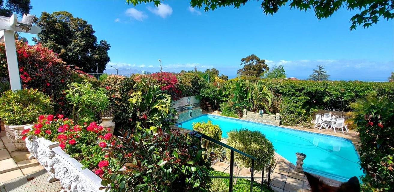 Фото Roosboom Luxury Apartments