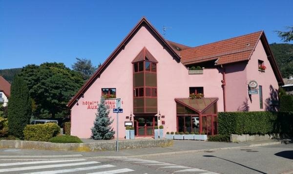 Гостиница Hôtel aux Sapins в Тане