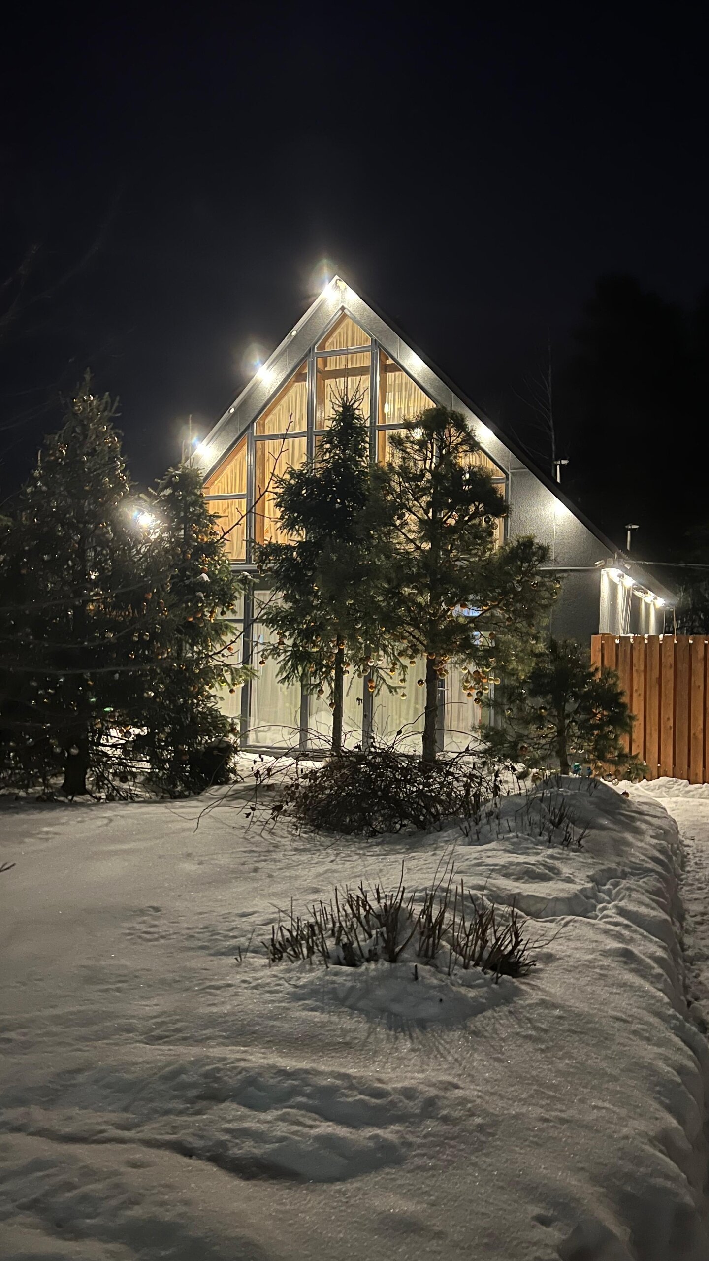 Фото Лесная