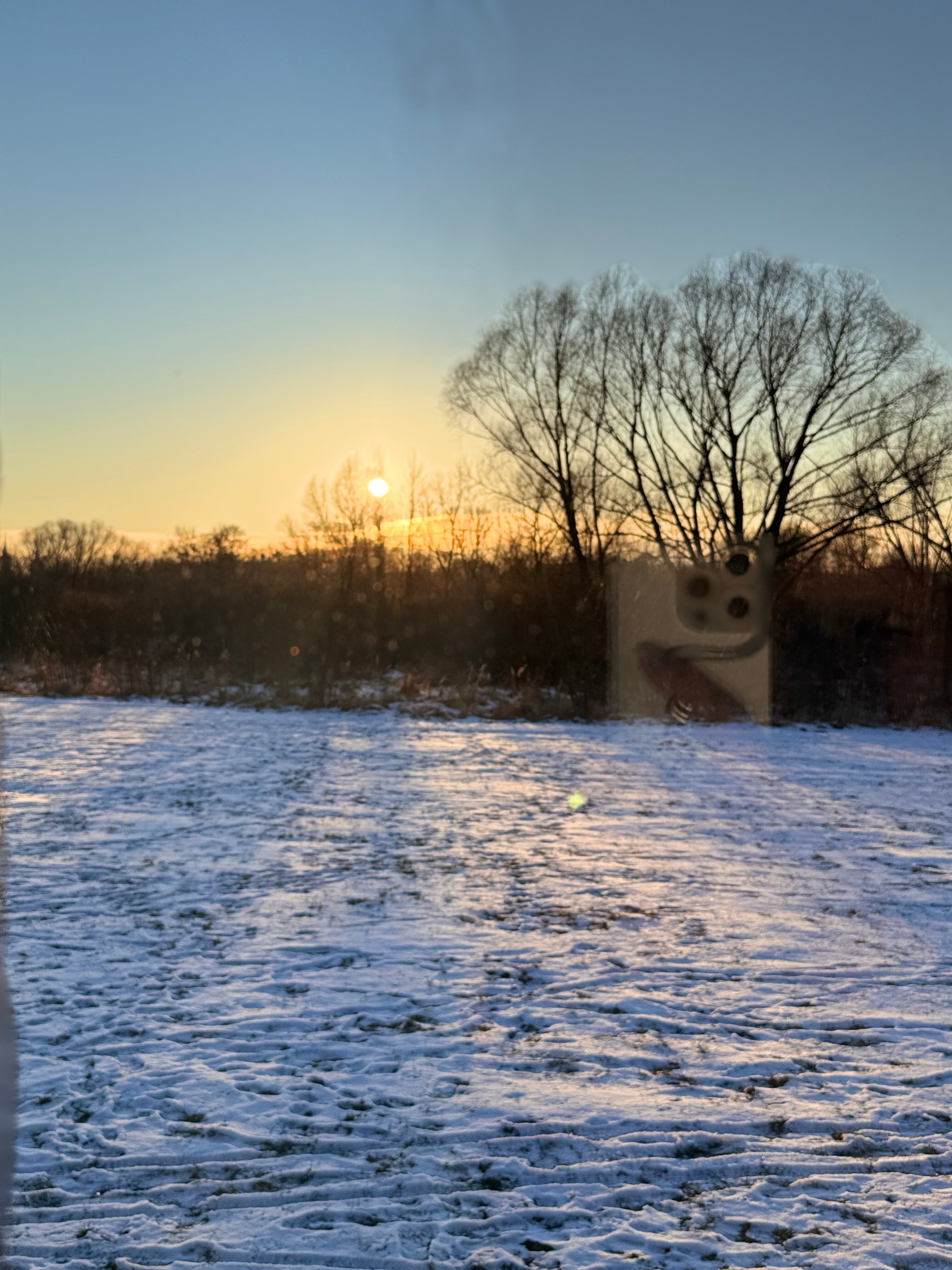 Фото Ферма Славная