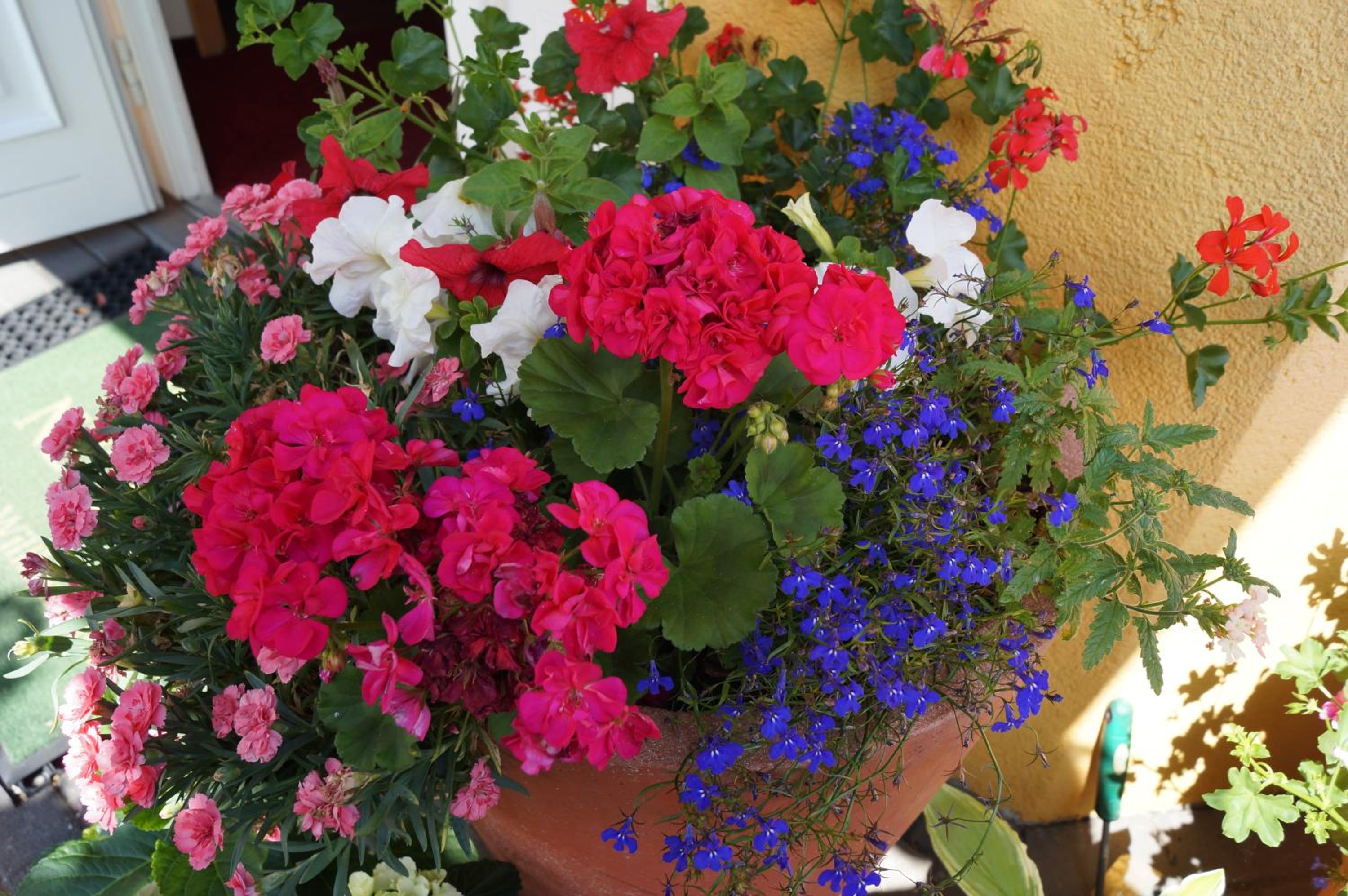 Фото Hotel Neuses