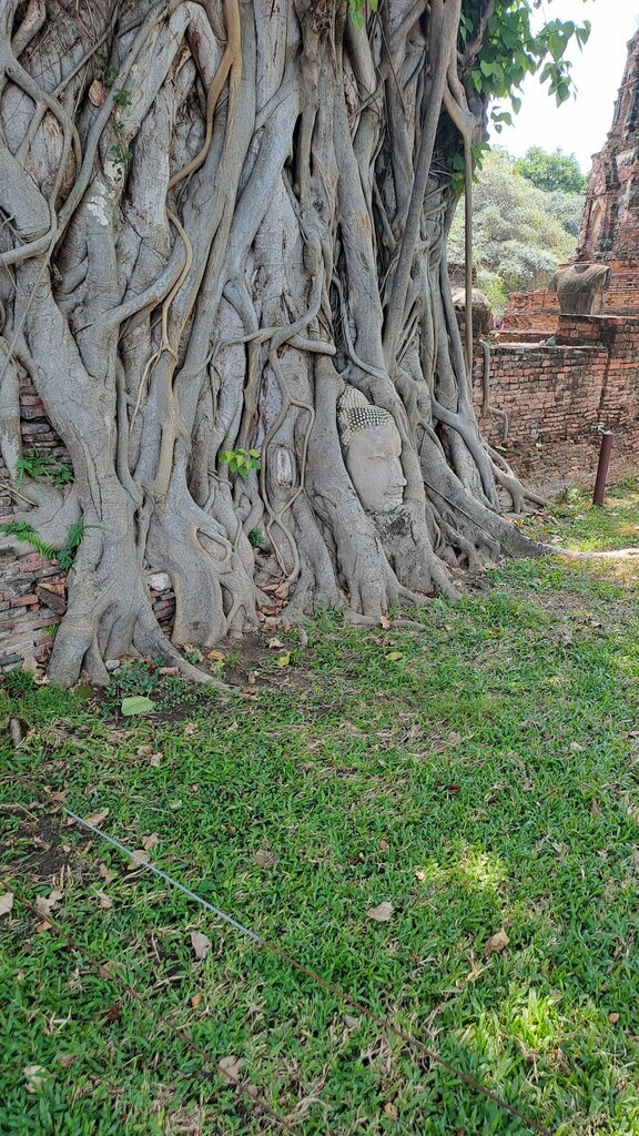 Landmark, attraction Wat Mahathat, Earth, photo