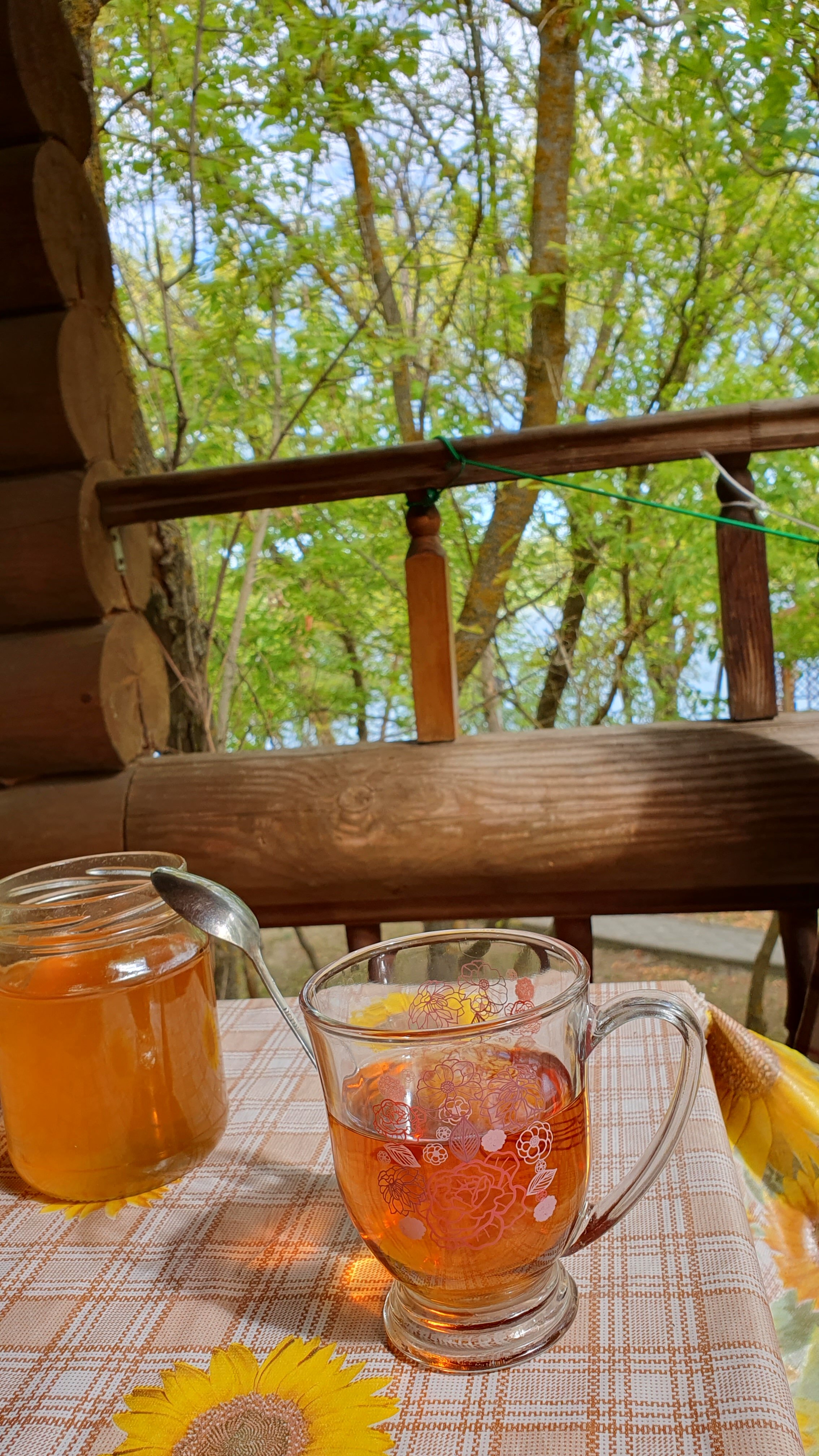 Фото База отдыха Дон