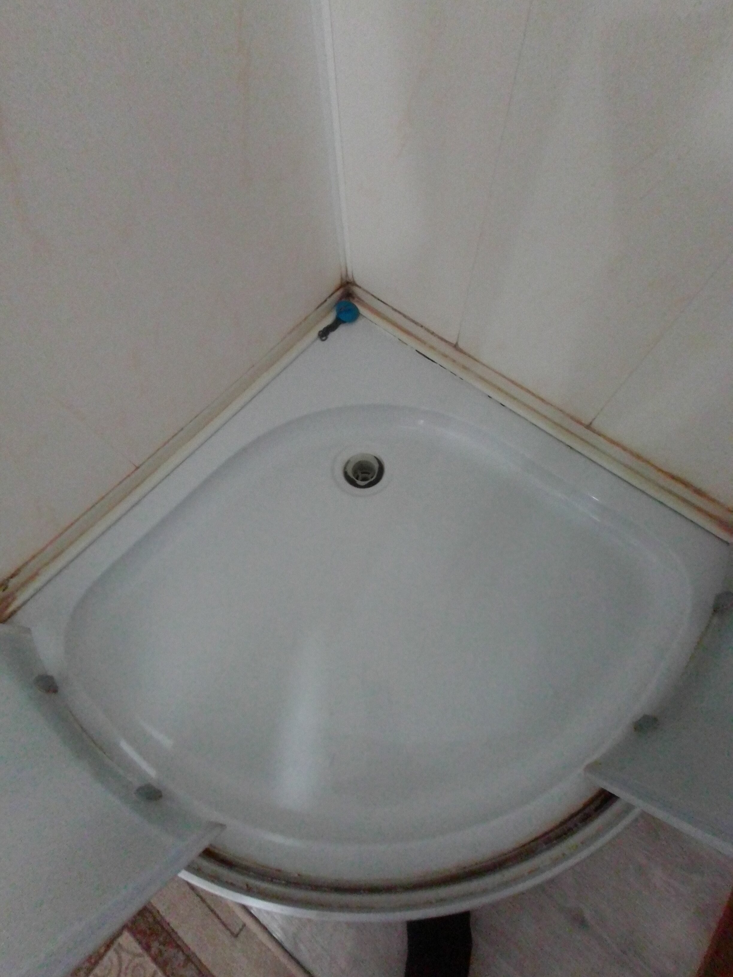 Фото Добрый