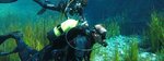 Ckc Divers Diving Center (İzmir, Karşıyaka, Bostanlı Mah., 1789 Sok., 7A) ، غطس