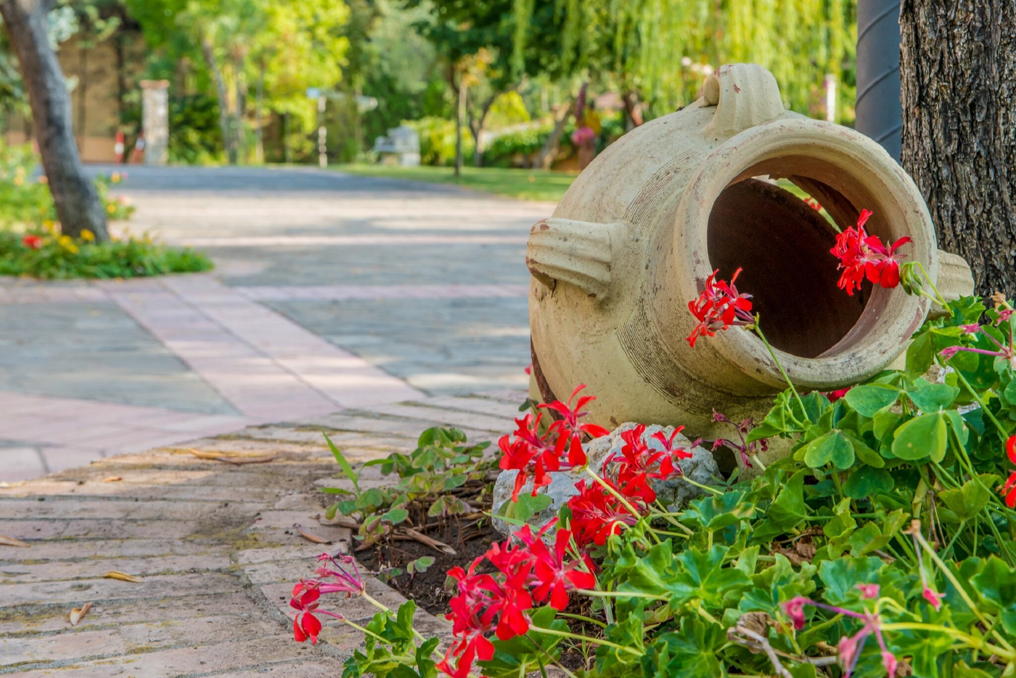 Фото Villamirella