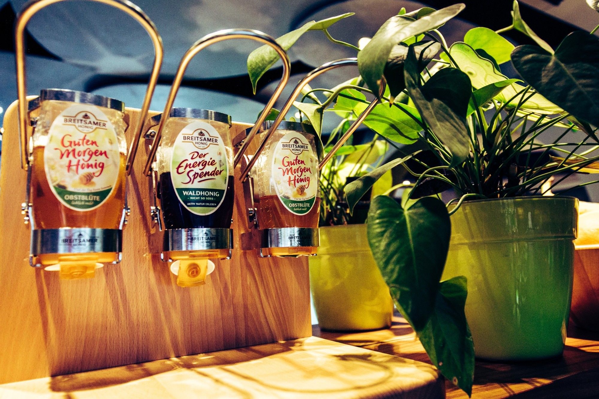 Фото Cocoon Stachus