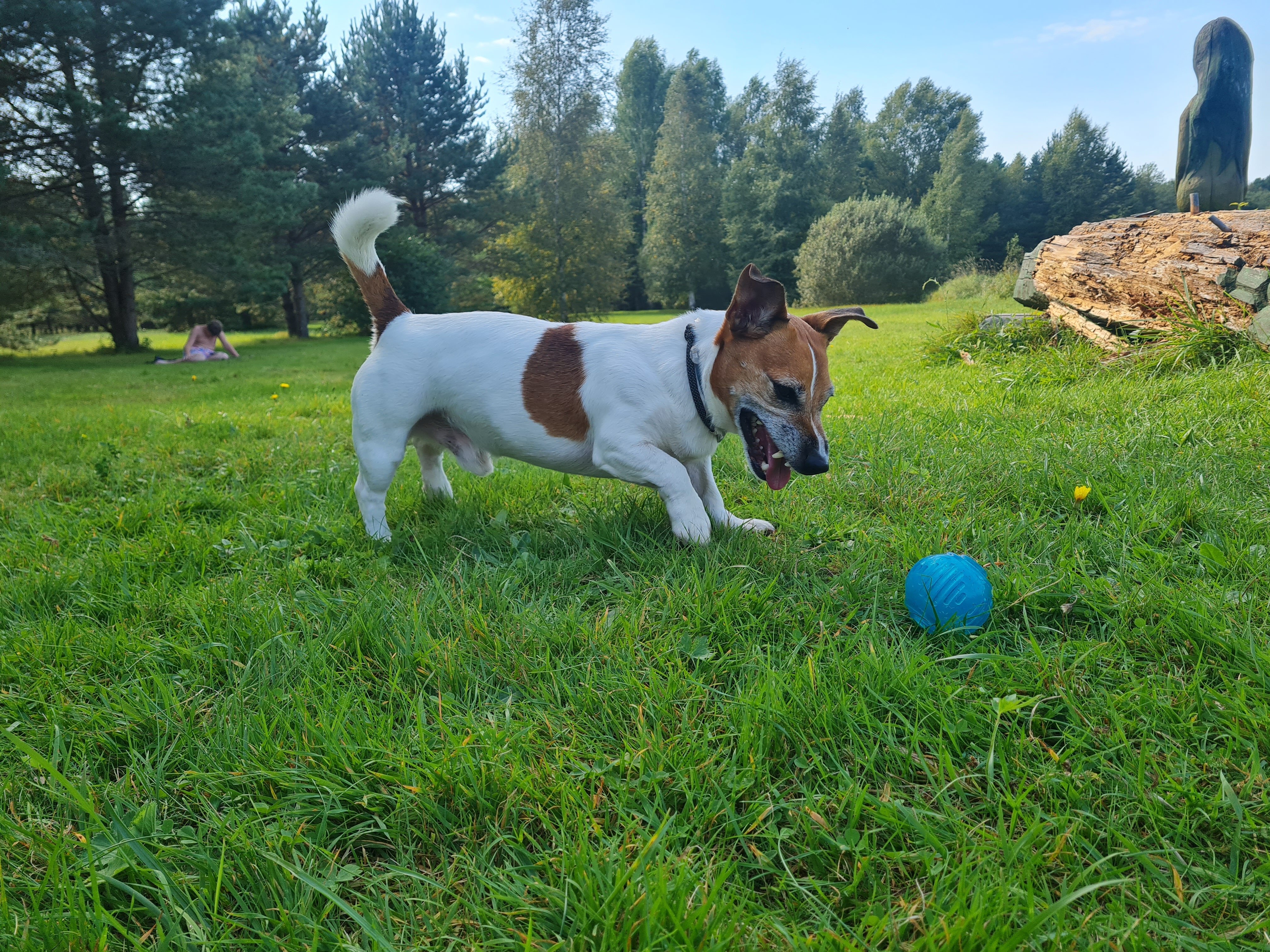 Фото Боровое
