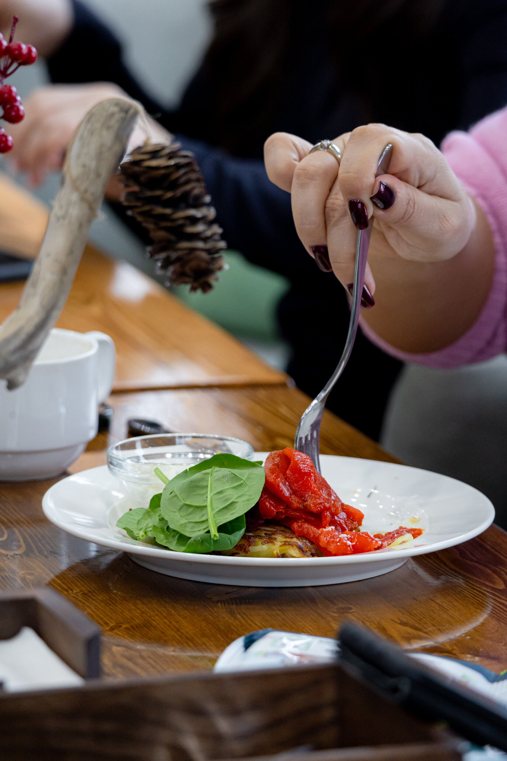 Фото Шале Дача