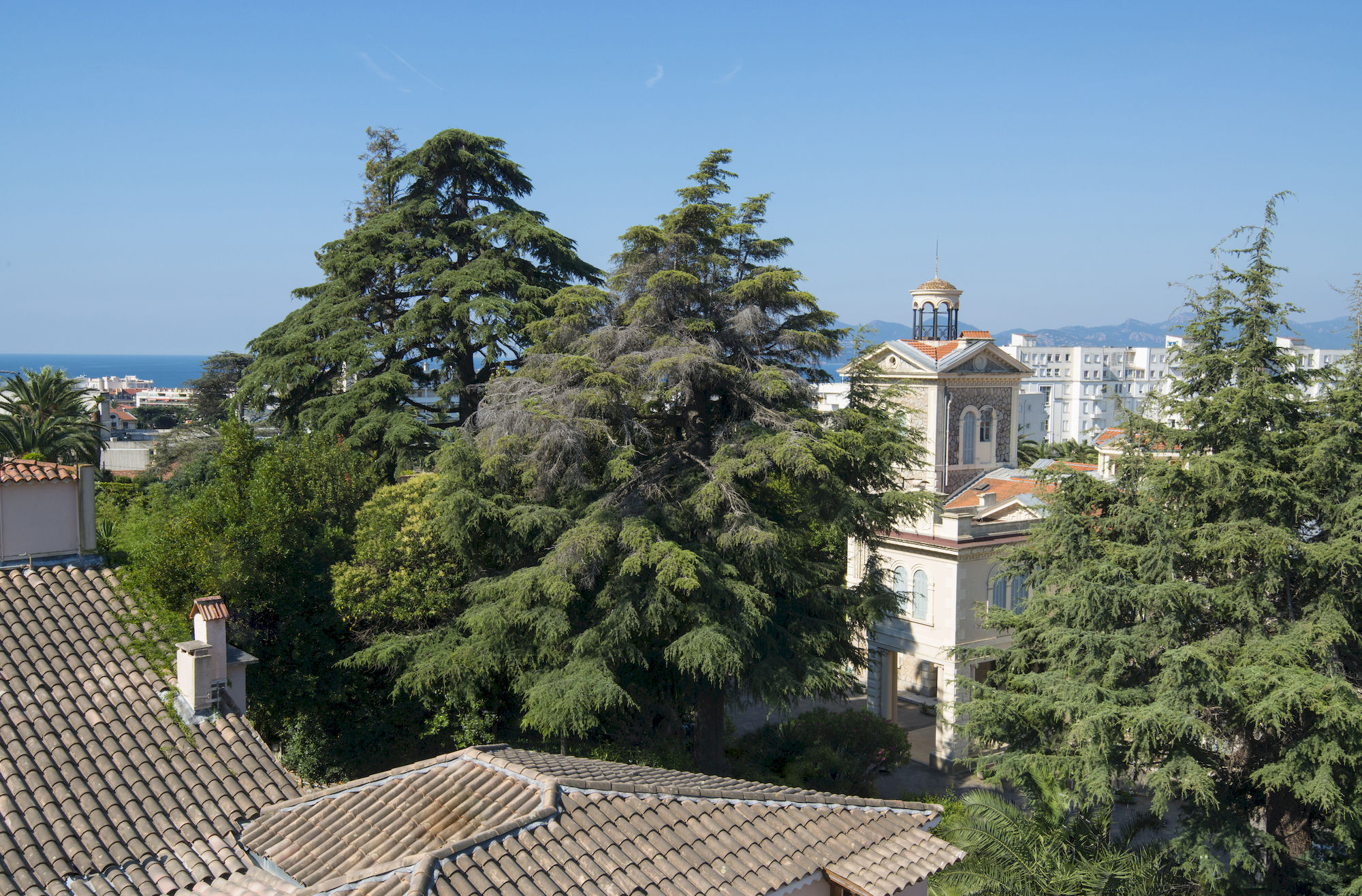 Фото La Bastide de l'Oliveraie