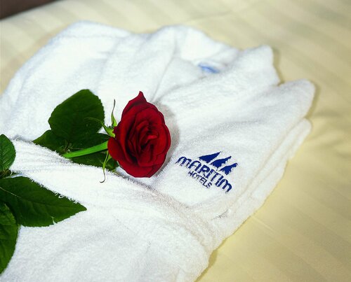 Гостиница Maritim Hotel Darmstadt в Дармштадте
