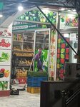 فروٹ شاپ (Sector F-6, Sector F-6 Markaz, 14) ، محل بقالة