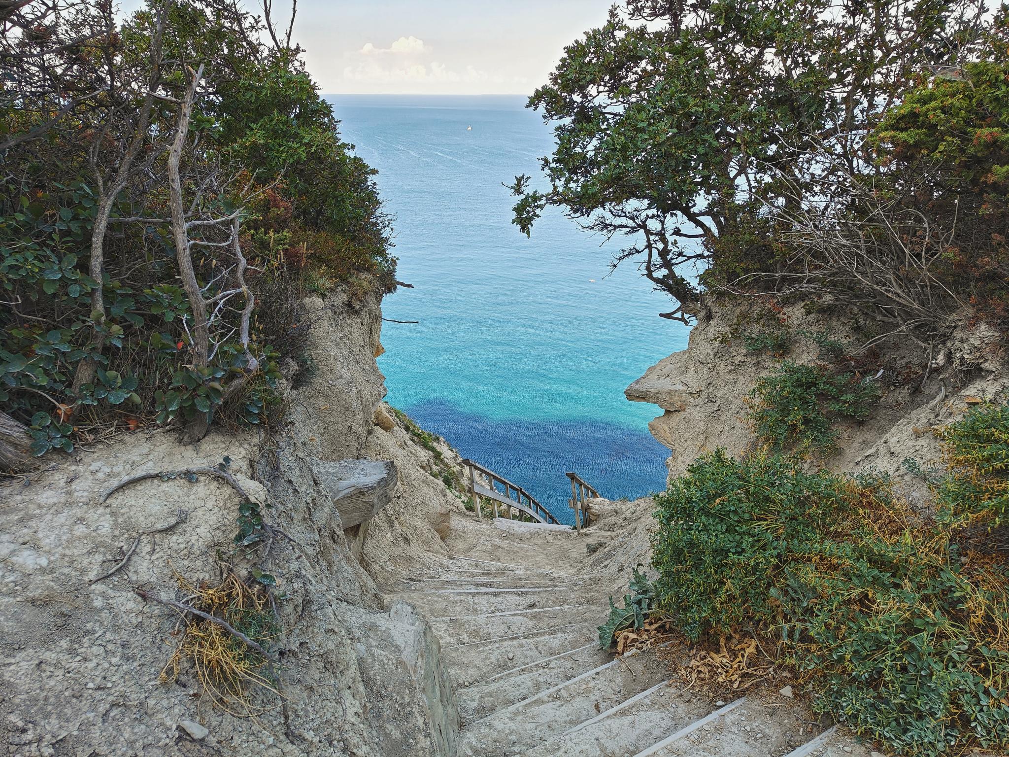 Фото Море Мур