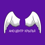 Крылья (derevnya Nizino, Verkhnyaya ulitsa, 1к4), social rehabilitation centre