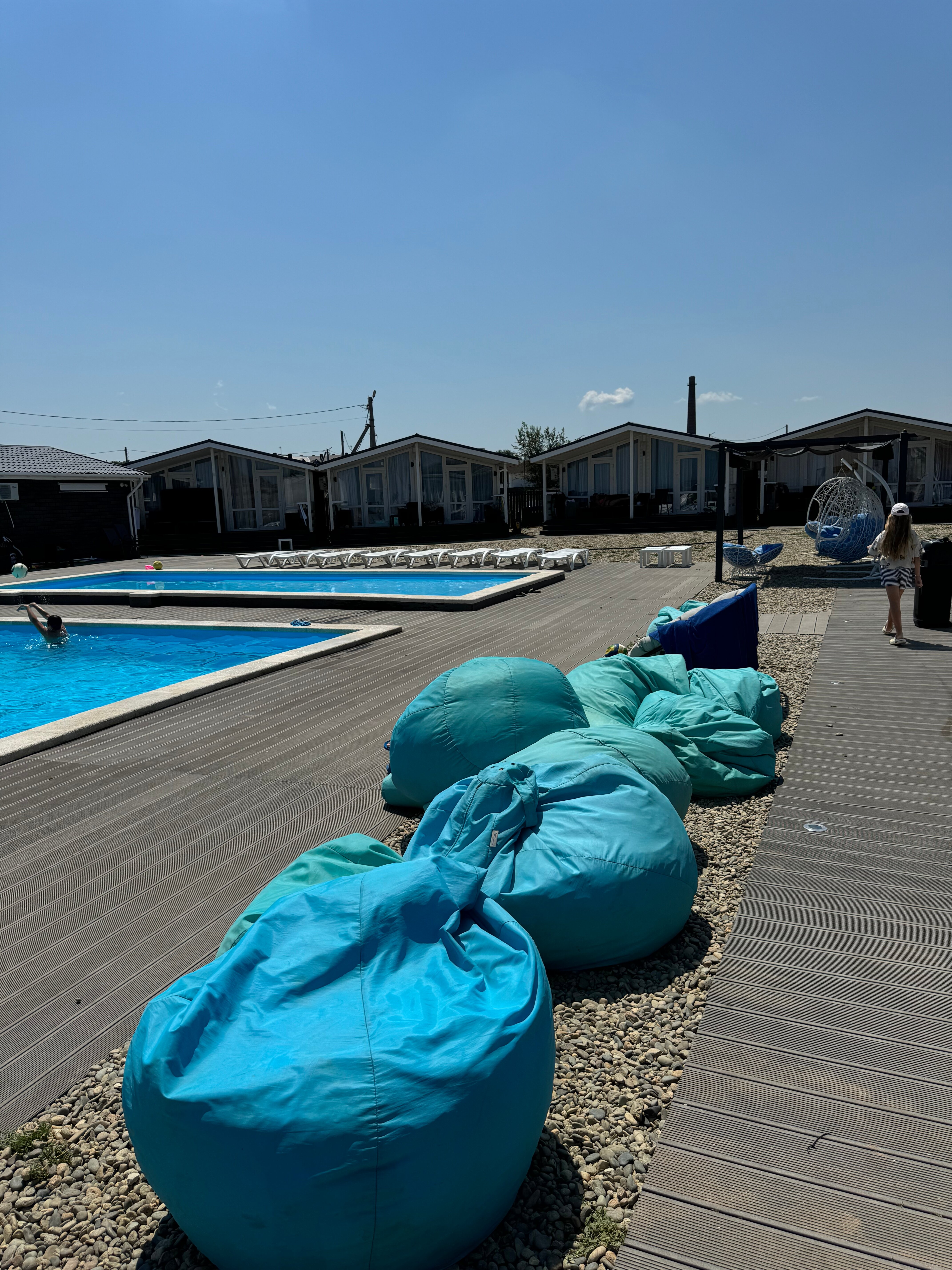 Фото Альбатрос