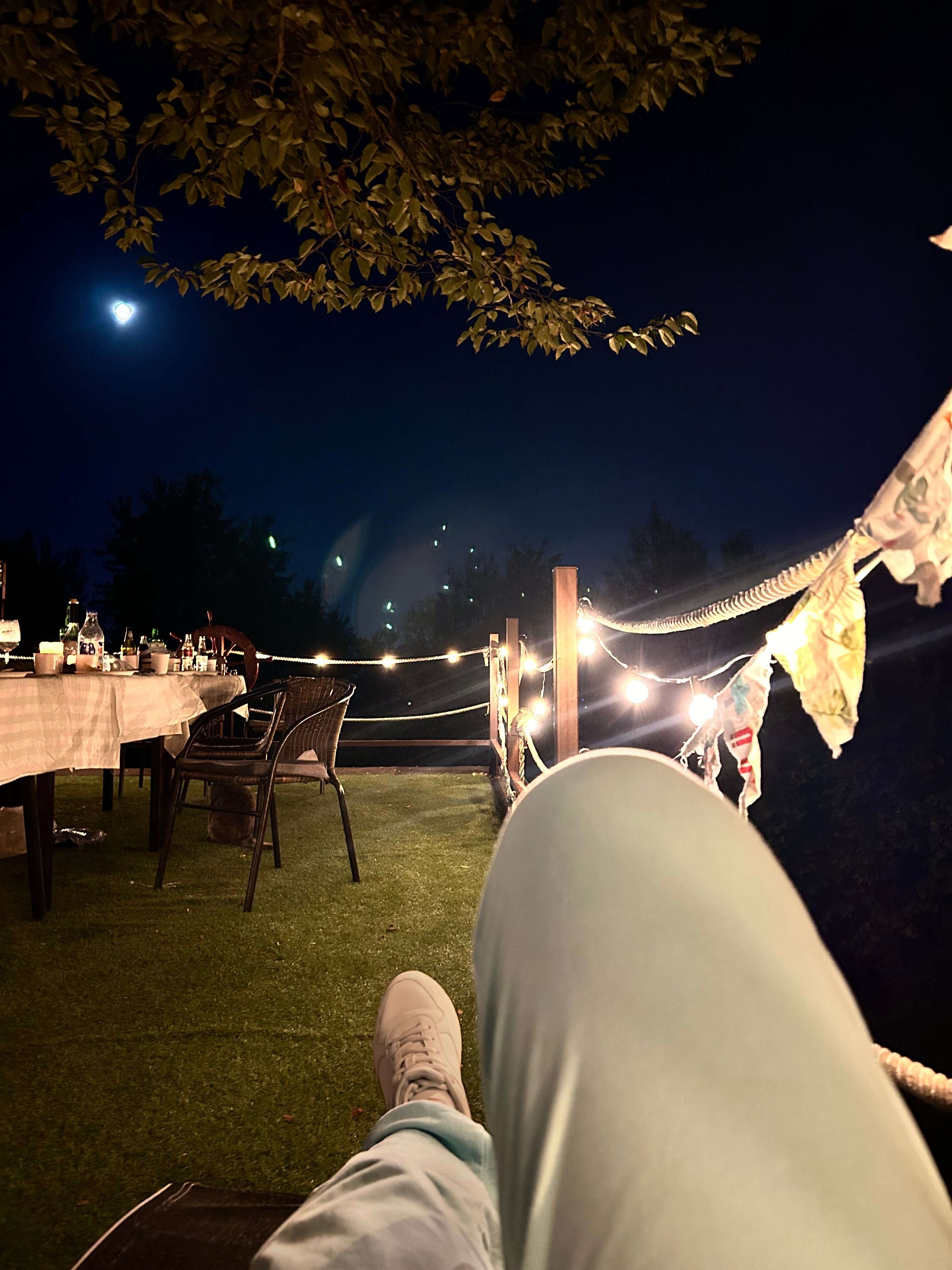 Фото Оранжереи