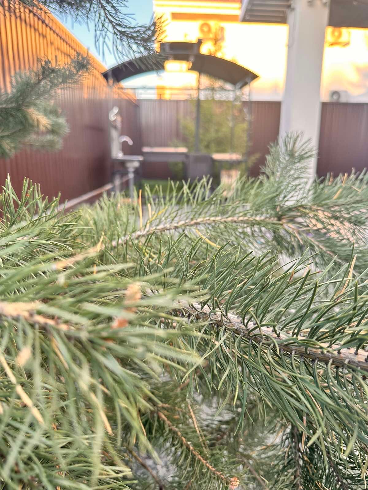 Фото Twins House