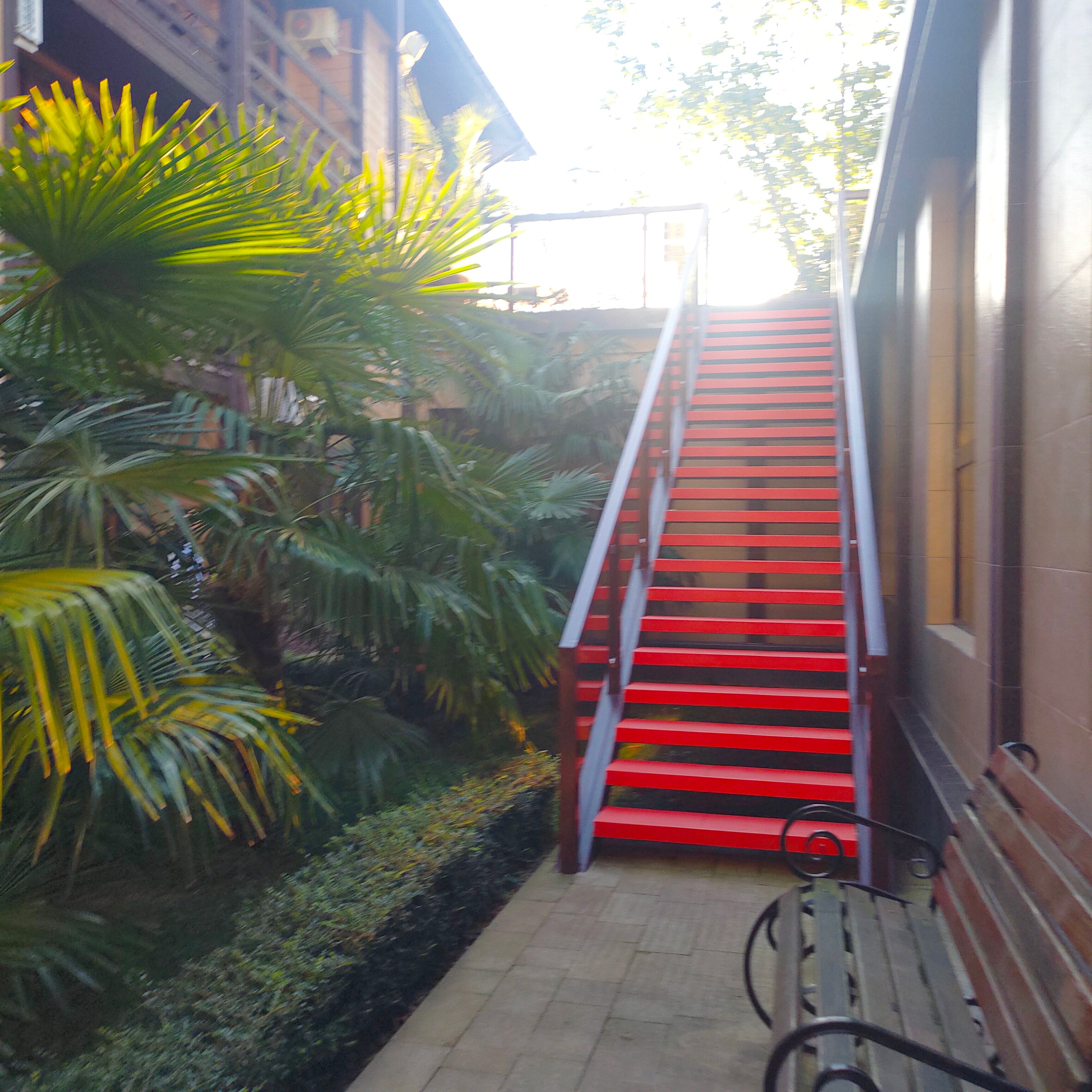 Фото Юна Aqua Life