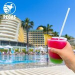 Pegas Touristik (ulitsa 30 let Pobedy, 43А), travel agency