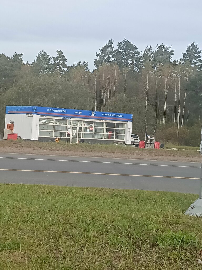 Gas station Surgutneftegaz Pskovnefteprodukt, Pustoshka, photo