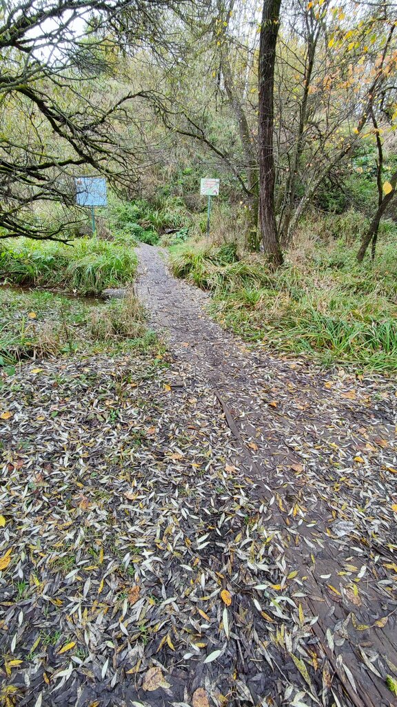 Bulaq, kiçik çay Никольский родник, , foto