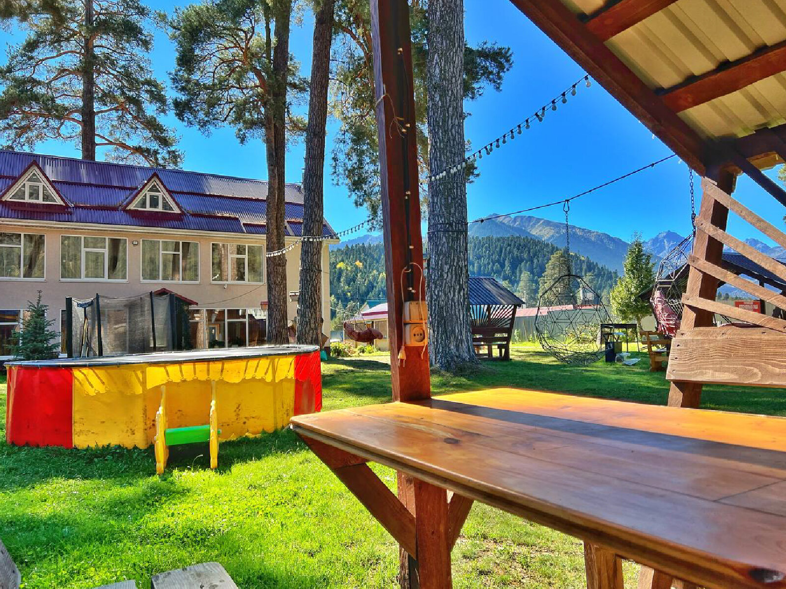 Фото Сосновый рай