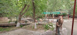 Kirk-kiz (Tashkent Region, Pskent District), atracción