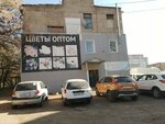 Optovy sklad tsvetov (Tramvaynaya Street, 4Ак2), flower shop