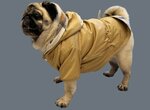 Fashion House Pugs (Dmitrovskoye Highway, 100к2), clothing store