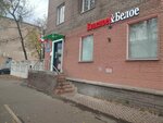 Krasnoe&Beloe (Lenin Avenue, 78) ، محل بقالة