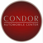 Condor (Druzhby Street, 107), exposición de coches
