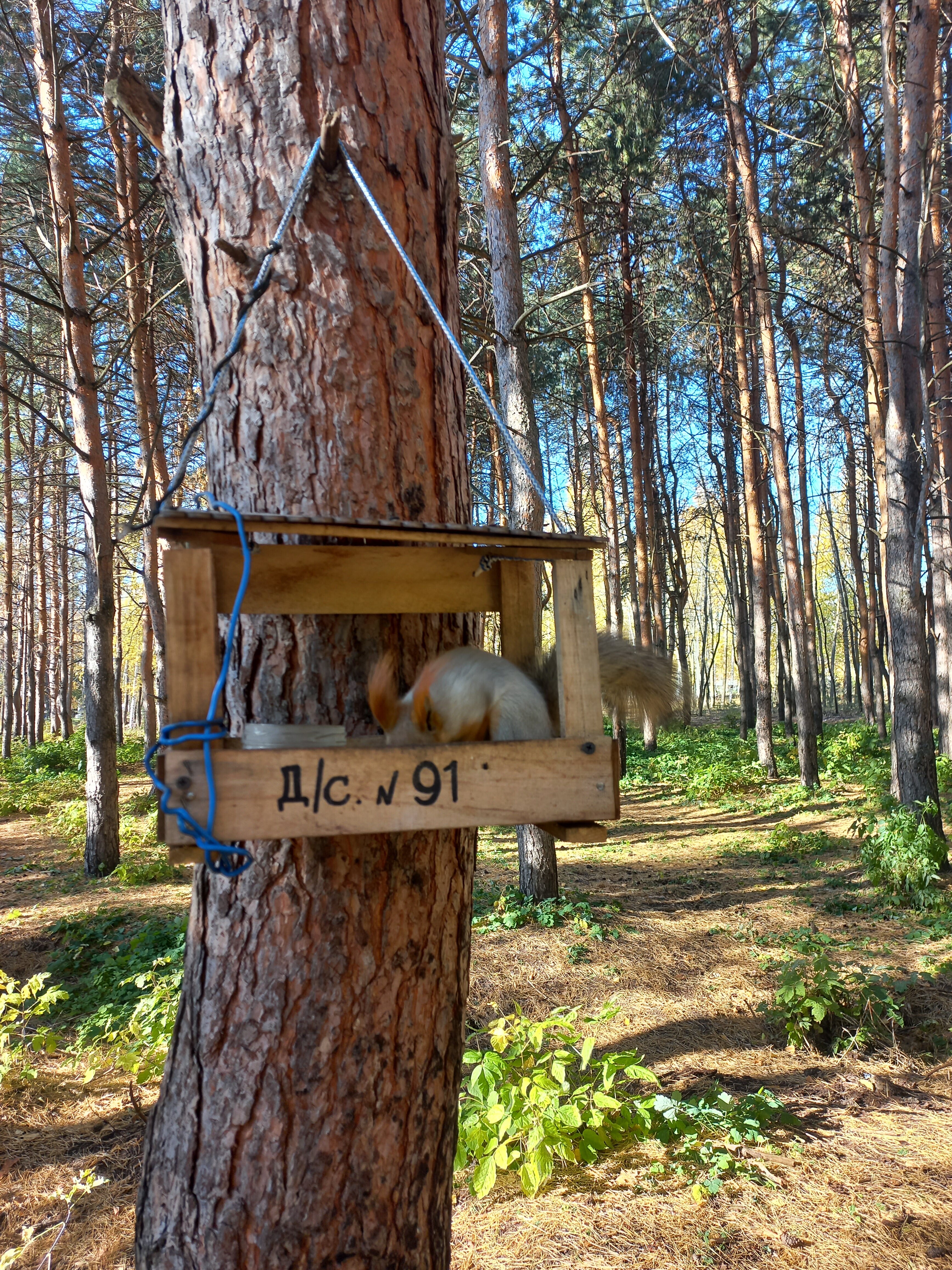 Фото Luxor hotel