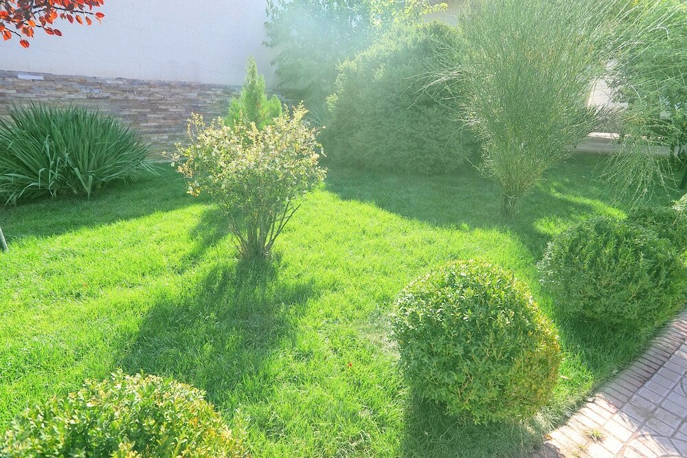 Фото Viardo hotel