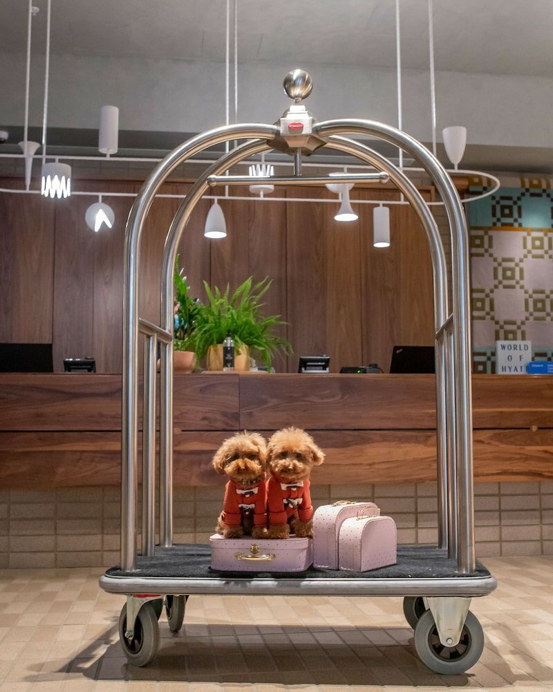 Фото Hyatt Centric Melbourne